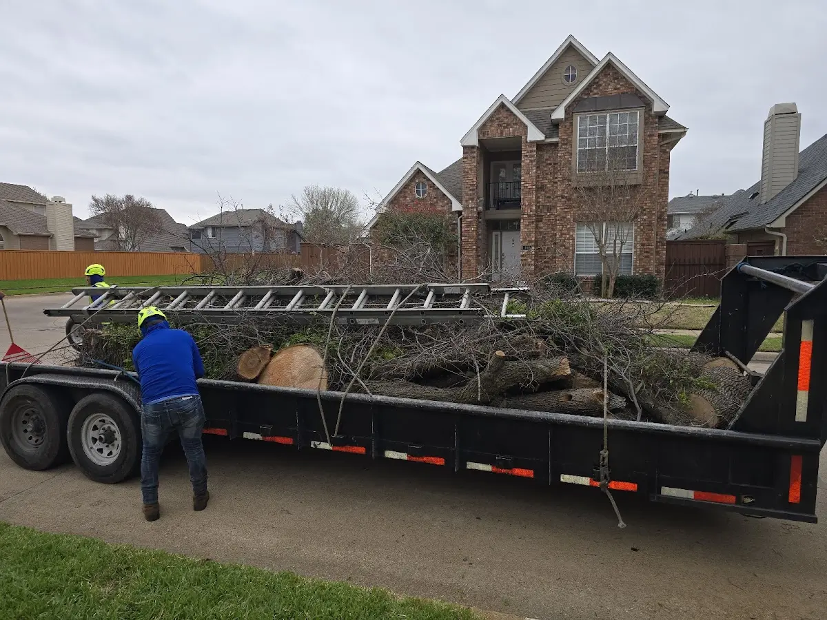 Expert Crown Reduction with proper safety equipment in Bluffton